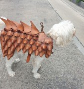 Picture of Vegtan Dog armour